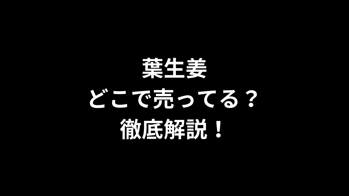 葉生姜はどこで売ってるのかを徹底解説！