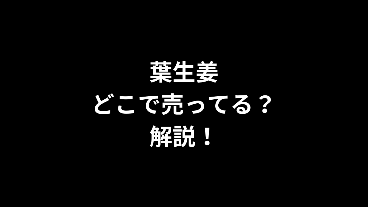 葉生姜はどこで売ってるのかを徹底解説！